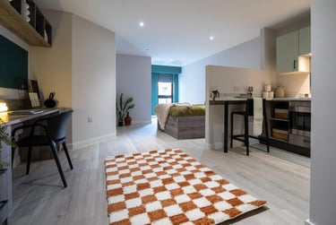 1 bed studio, St Anns Well Road, Hockley, Nottingham, NG31BH - Image 3